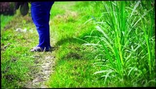 Video 1662761981: big booty bbw doggy, chubby bbw girl friend, chubby bbw college girl, bbw big ass chubby, bbw fucked doggy style, chubby bbw teen, bbw chubby desi, hot chubby bbw, big booty mature bbw, caught twerking, beauty ass fucked doggy, twerk big naked asses, chubby mature woman fucking, doggy style butt fucking, chubby girl nude, ass doggy style cum, big ass bbw arab, doggy style fucking old, doggy style cum inside, doggy style straight, 18 year old bbw, muslim bbw, hottest big booty, desi doggy style hd, older bbw, arabian bbw, taboo doggy style, large bbw