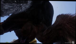 Video 1514462305: gay furry sex, dominant gay sex, penis domination, furry ass, furry game, wild dominant, domination fantasy