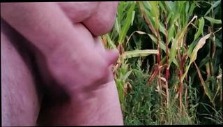 Video 1571980071: gay man wanking, public wank, wank hd