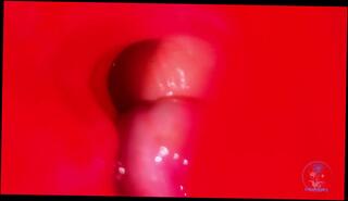 Video 1653800163: solo double dildo, dildo toy fetish cock, solo dildo masturbation orgasm, double penetration big dildo, trans solo dildo, amateur solo dildo play, double dick dildo, fetish solo porn, solo male dildo, doll double penetration, solo masturbation hd, dildo precum