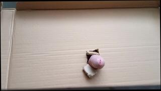 Video 1625947703: gloryhole fetish, fetish solo, horny homemade solo, horny amateur fetish, amateur solo cock, big gloryhole cock, big dick gloryholes, homemade solo male, penis fetish, fetish nude, fetish naked, solo flash, hole fetish, homemade glory hole
