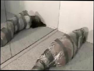 Video 280597101: bdsm bondage, bondage straight, bondage tied, girl tied, tie babe, girls love