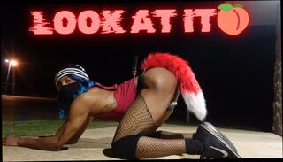 Video 1621373491: sissy femboy rides dildo, sissy femboy twerking, sissy femboy compilation, booty twerk compilation, bubble butt sissy femboy, sissy femboy fucks ass, femboy riding dildo cumming, shemale tranny sissy dildo, sissy anal dildo ride, shemale femboy trap sissy, femboy rides huge dildo, sissy femboy rides big, sexy sissy femboy, sissy femboy amateur, sissy femboy masturbate, black femboys sissys, young sissy femboy, cock shemale cum compilation, femboy trans shemale, ts dildo cum, trans woman compilation, outdoor public masturbation sissy, fishnet riding dildo, cosplay dildo ride, dildo ride hd, sissy american, very sexy ass
