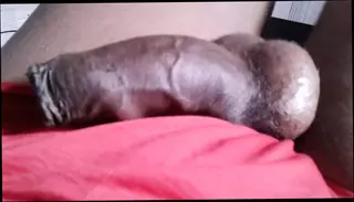 Video 1578875441: interracial gay cock, big black cock interracial, interracial daddy, interracial african, interracial muscular, interracial latino, czech interracial, interracial european, interracial small, interracial hd, pierced daddy