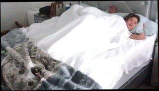 Video 1163292401: cam caught, couple caught, sex caught, caught straight, cam bedroom sex
