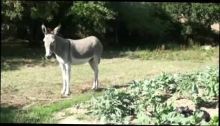 Video 1662694131: gay bareback anal fucking, amateur gay bareback anal, bareback fucking porn, arab bareback fuck, bareback fucking outdoors, fucking bareback hd, bareback casting