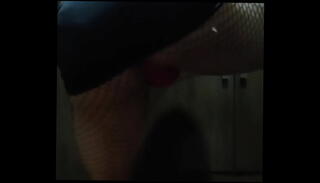 Video 1658230465: fuck shemale