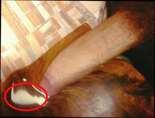 Video 1606046781: sissy crossdresser compilation, sissy twink crossdresser, twink sissy boy gay, sex bareback twink boy, twink boys bareback fuck, twink riding dick bareback, twink rides cock bareback, twink bareback fucks cum, twinks bareback anal sex, twink bareback fucking amateurs, sissy crossdresser masturbates, twink outdoors bareback fucking, african twinks bareback fuck, big dick twinks bareback, twink love bareback fucking, cartoon sex anime, twink blowjob compilation, black twink barebacks amateur, twinks bareback facial, indian crossdresser sissy, old sissy crossdresser, muscle twinks bareback, gay twink boys men, gay man fucking twink, webcam cum compilation, milk colombian porn, penis milking, bareback foursome, facial compilation hd, big milk young, bareback younger