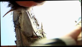 Video 1597561943: david perry, keeani lei, mya luanna, gaping anal threesome, gaping babe fingers, gaping ass fingered, threesome finger fuck, anal sex ass gaping, gaping anal orgasm, ass big anal gapes, finger fucking asian babe, tit gaping ass, pornstar anal gape, anal gape cumshot, pussy anal threesome, babe teasing fingering, brunette babe finger fucks, gape nice ass, anal threesome outdoors, tattoo babe fingering, fingering female orgasm, women threesome, natural tits