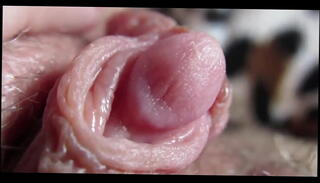 Video 1625629215: closeup pussy clit, pussy orgasm closeup, big clit closeup, closeup hd