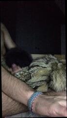 Video 1622868091: dick stroking, man gay, gay hd