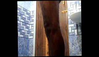 Video 1342733365: hairy cock boys, boy big hairy, huge hairy cock, hairy cam