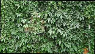 Video 1663772111: solo piss masturbation, latex piss, piss gay cock, white cock solo masturbation, solo masturbation huge cock, pissing hunk gay, piss gay daddies, pissing big gay dick, amateur solo cock, cock pissing outdoors, giant cock solo, massive cock solo, master piss, gay men pissing, solo close cock, homosexual solo, solo masturbation hd, piss play, pissing german, dads huge cock, big cock bulge, horny playing, horny wet