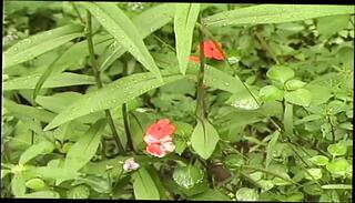 Video 1655299881: alisha angel, milf anal orgasm, milf big tits orgasm, milf anal cumshot, milf hardcore anal, big titted english milf, milf anal hd, straight milf, milf creamy, little milf, milf creamed, anal part 1