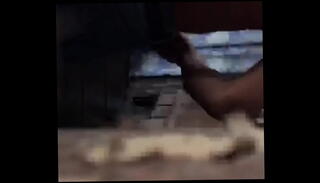 Video 1226014005: gay men cock