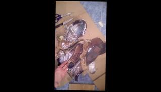 Video 1475241603: foot fetish gay solo, foot fetish amateur gay, gay male foot fetish, foot fetish boots, foot shoe fetish, clothed foot