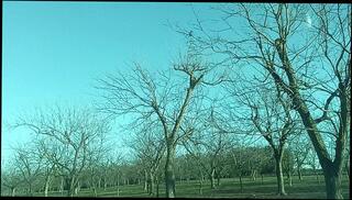 Video 1662573933: milf interracial pov, amateur milf fucked pov, latin milf interracial sex, milf wife pov, milf wife solo, hot milf pov fuck, ebony milf interracial, solo male pov, mature milf interracial, brunette milf interracial, interracial pov big, milf cheating wife fucked, big dick pov sex, interracial public sex, man wife