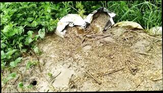 Video 1663813551: solo uncut cock masturbating, solo gay uncut cock, big uncut cock solo, uncut cock masturbation cumshot, uncut cock handjob, big uncut cock horny, amateur solo handjob, uncut cock outdoor, solo masturbation hd, desi uncut