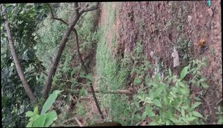 Video 1618969541: wax domination, waxed fucked, dominates teacher, domination sex, dominates straight, dominate 18 year old, indian domination, dominated outdoors, dominated beauty, wax play, dominant secretary, waxed asian, domination hd, fucks yoga teacher, indian fucking desi sex, fuck interview, fucking medical