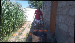 Video 1620292913: amateur ball