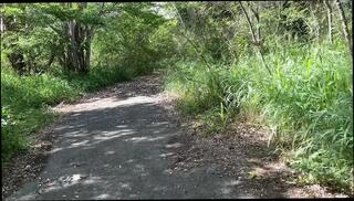 Video 1658230751: gay solo compilation, solo jerk gay, solo amateur jerking, gay handjob compilation, amateur outdoor public compilation, public solo car, latino solo, compilation hd, horny jerking