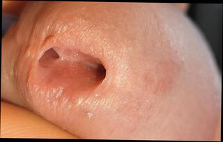 Video 1656027751: crossdresser femboy sissy fucking, twink sissy femboy cum, fucks uncut twink bareback, crossdresser sissy anal solo, indian sissy femboy crossdresser, twink boys bareback fuck, daddy fucks twink bareback, gay bareback twink boy, twink bareback gay porn, amateur teen sissy crossdresser, solo uncut cock masturbating, twink boy friends bareback, bear fucks twink bareback, sissy femboy blowjob, daddy barebacks asian twink, bareback fuck young twink, big uncut cock bareback, hunk barebacks twink, solo straight twink, twink first time bareback, muscle twinks bareback, old sissy crossdresser, bareback anal hole fucking, gay twinks fucking men, twink gay guys fuck, fucking bareback hd, sexy open