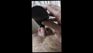 Video 1657307283: ftm solo, solo amateur trans, ftm trans male, ftm orgasm, ftm playing