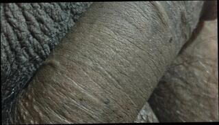 Video 1664820941: gay anal action, gay big cock anal, homemade anal masturbation, indian big cock masturbation, dick action, cumshot