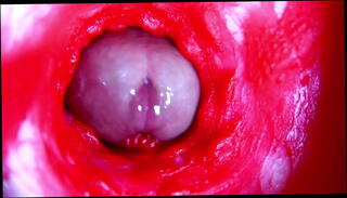 Video 1657456865: fetish solo masturbation, pregnant fetish, solo masturbation moaning orgasm, amateur homemade solo masturbation, sexy solo orgasm, solo big cock masturbation, solo close cock, beautiful solo masturbation, wet pussy close, extreme pussy close, inside wet pussy, pussy head