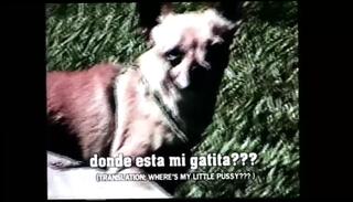 Video 1624801481: bbc doggy style, vintage bbc, pussy girl doggy style, blowjob doggy style pussy, cock blowjob doggy style, girl bbc facial, big cock blowjob doggy, black cock bbc hard, doggy style pussy eating, vintage black tits, doggy style straight, doggy style hd, girl cock cum, black monster cock cum, girl cum mouth, young girl cock, porn