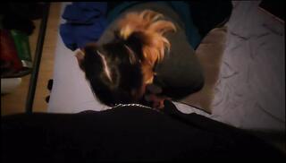 Video 1621434021: pov sex blowjob creampie, dominant shemale creampie, wife pov creampie, pov creampie cum, pov fuck creampie, amateur pov creampie, boot domination pov, hot pov creampie, creampie pov hd, shemale fucks girl pov, pov amateur couple fuck, dominant trans girl, dominant tranny fucks, ts pov fuck, woman creampie fuck, pov goth girl, creampie cum mouth, pov beautiful girl, dominate cock, moaning creampie, high heel domination, milk loaded, american creampie