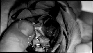 Video 1664282973: fetish solo, amateur solo guy, amateur solo male, hand fetish, men fetish, handsome solo, muscular solo