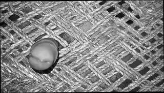 Video 1655597761: gay uncut boys pissing, solo piss masturbation, fetish gay piss, pissing fetish porn, solo piss play, masturbation indian boy solo, pissing young gay boy, boy masturbating hot solo, gay porn guys pissing, homemade solo boy, boy solo cumshot, desi boy solo, hottest homemade fetish, solo masturbation hd, piss filled, india solo, masturbation nude, nude sex