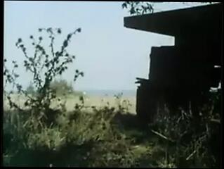 Video 15398301: vintage interracial, vintage sucking, vintage blowjob, vintage straight, white girl sucking