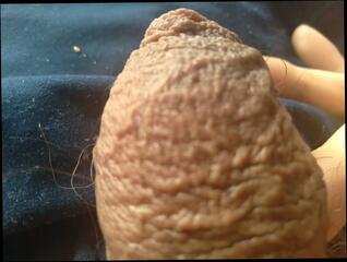 Video 1658223431: cock bbc masturbation solo, bbc solo cum, solo gay boy masturbates, dick solo masturbating cumming, solo gay sex boy, cock big dick bbc, gay handjobs bbc, homemade masturbation solo, solo men masturbating, bbc long dick, muscular bbc cock, solo man masturbation, erect bbc, solo masturbation hd, penis solo, bbc latino, monster cock masturbation, gay hot penis