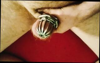 Video 1657658611: tiny cock cage, tiny cock humiliation, tiny penis humiliation, tiny dick humiliation, tiny hairy, fetish humiliation, cock cage cum, hairy cock boys, hairy cock gay, caged small cock, caged sub, humiliated european, tiny german, ginger cock cumming