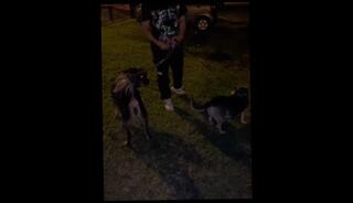 Video 1624904583: horny amateur fetish, amateur fetish sex, amateur fetish masturbation, fetish porno, hot fetish sex, big dick fetish, big ass fetish, brazil fetish hot, men fetish, japanese fetish, asian fetish, fetish hd, horny amateur college, big ass colombia, big dick muscular