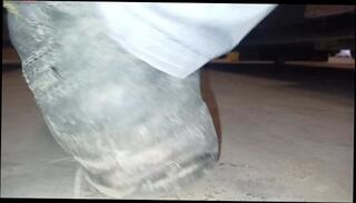 Video 1619806013: feet solo, amateur solo male, feet trample, boots feet, feet crush