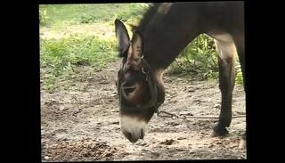 Video 1654928591: susie sorrento, vintage retro sex, vintage retro blowjobs, vintage threesome sex, vintage retro big, tits threesome sex, retro nude, love threesome sex, vintage cowgirl, retro facial, vintage straight, european retro, hd retro, sex copulating, coitus, fucking outdoors