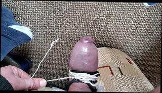 Video 1600919705: big dick cock penis, swollen cock, tied cock, good cock, cock head