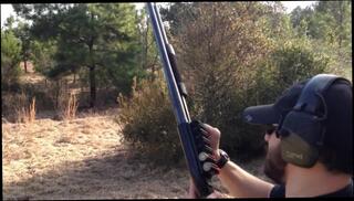 Video 408643203: pump action, pumped amateur, pumping love, action shooting, shot action