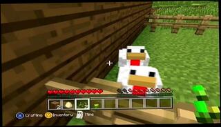 Video 1657284173: games amateur