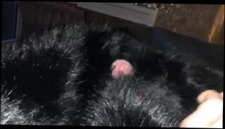 Video 1663241841: fetish gay solo, fetish bondage, gay bondage handjob, gay homemade solo, bondage tied, bondage hd, homemade polish