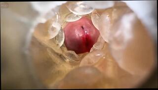 Video 1665230811: solo gay boy masturbates, solo masturbation sex toys, young boy solo masturbation, amateur solo boy, boy solo cumshot, solo straight boys, solo dirty talk, solo guy masturbating, solo masturbation hd, solo orgasm