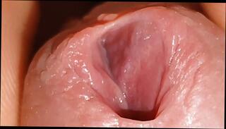 Video 1657187641: twink sissy femboy cum, fucks uncut twink bareback, sissy femboy solo, twink boys bareback fuck, gay bareback twink boy, solo uncut cock masturbating, twink bareback gay porn, twink bareback fucking teen, twink bareback fucking amateurs, twink boy friends bareback, stepdad bareback fucks, bear fucks twink bareback, femboy sissy cumshots, barebacks young twink gay, twinks hot bareback fucking, gay asian twink bareback, twink big cock bareback, bareback fucking gay man, gay men bareback fucking, dads fuck twink, twink fuck old gay, bareback glory hole, fucking bareback hd, horny daddy, super horny