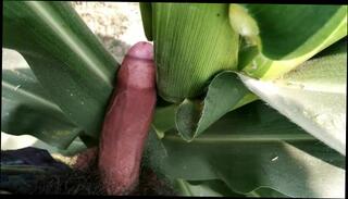 Video 1511405903: homemade amateur solo, homemade teen solo, solo male big cock, solo homemade playing, big dick solo male, solo outdoor teen, solo hot cock, indian teen solo, solo male handjob, solo male public, amateur teen handjob, cock boy outdoor