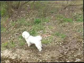 Video 1662743131: cindy dollar, pussy banged pov, pov blowjob cock sucking, pov blowjob babe sucking, babe pov dick sucking, babe blowing cock pov, pov sucking cock tit, wife pov pussy, cock sucking blonde pov, pov blowjob tit job, pov pussy orgasm, ass wife pov, blows big dick pov, young pussy banged, sweet pov blowjob, pov pussy eating, first pov blowjob, love pov sucking, round ass pov, vagina pov, housewife pov, cunt pov, woman pov, pov straight, pov married, bathroom pov, old pov, suck snatches, sucked twat, fake tits wife