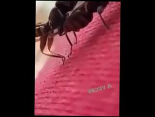 Video 1594962573: vintage anal, vintage casting, red head anal, czech anal