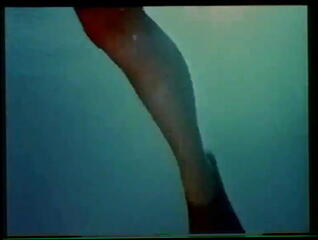 Video 24948201: vintage softcore, vintage erotica, vintage striptease, vintage straight, vintage underwater, vintage soft, vintage italian