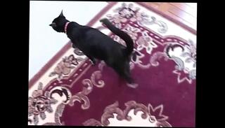 Video 1657718531: totally tabitha, teen creampie fucked doggy, doggy fuck creampie amateur, doggy style creampie pussy, missionary creampie doggy style, riding doggy style creampie, squirting pussy creampie, creampie homemade doggy style, doggy style sex creampie, cock doggy style squirts, vintage amateur doggy styled, doggy style blowjob creampie, loves doggy style creampie, doggy style creampie big, cunt fucked missionary creampie, amateur blowjob creampie couple, girl sex amateur creampie, cock fucked creampied straight, vintage amateur nudes, blonde girl fucked doggy, doggy style pussy eating, creampie sweet pussy, snatch creampied, vagina creampie, twat creampied, best amateur doggy style, pussy creampie old, pussy creampie hd, squirting 18 year old, vintage english, teen copulating, coitus